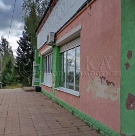 Аренда ПСН Сярьги, Центральная ул., д. 14, лит. А