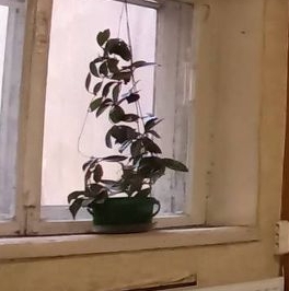 Продажа комнаты 10-я Красноармейская улица, 13