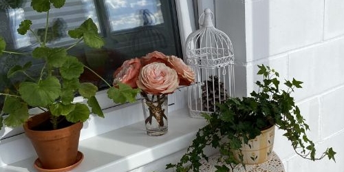 1-комн квартира Тосно г., улица Блинникова, 6