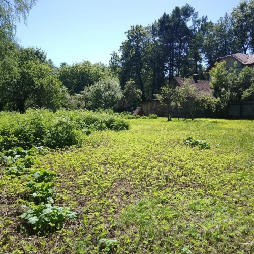 Земельный участок Мытищи, , Мытищи, ул Лесопарковая,  д. 2