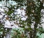 Продать Квартиры вторичка Оборонная улица, 4   