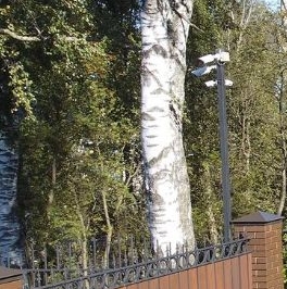 Продажа земли Янтарный Бор кп, д. Кирполье Продажа земли Янтарный Бор кп, д. Кирполье