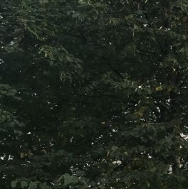 Продажа 3-комн квартиры на вторичном рынке Богатырский проспект, 52к1