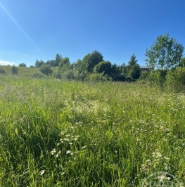 Продажа земли Екатериновка массив Продажа земли Екатериновка массив