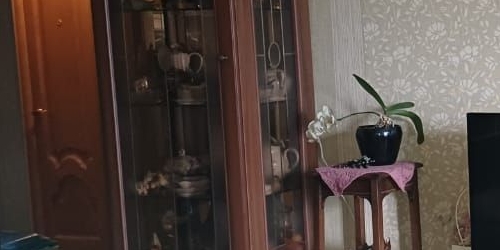 3-комн квартира улица Маршала Говорова, 26К2