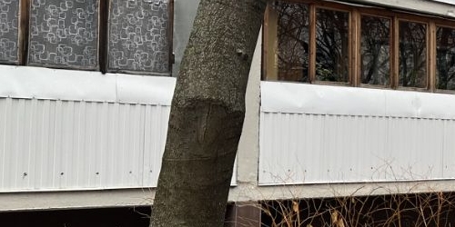 2-комн квартира Саянская улица, 4