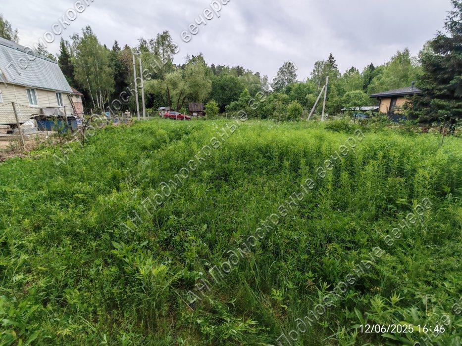 Продажа земли Новоселки деревня,