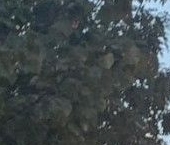 Продать Квартиры вторичка Одинцово, Вокзальная улица, 37   