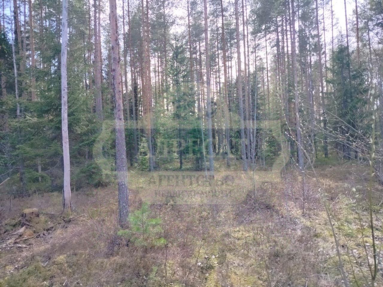 Продажа земли Лемболово Парк-9 кп,  д. 69