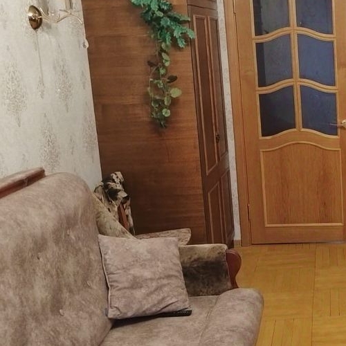 3-комн квартира Богатырский проспект, 29К1