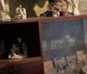 Продать Квартиры вторичка Лосевская улица, 22   