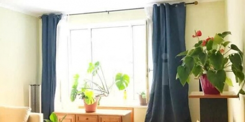 1-комн квартира Посланников переулок,  д. 11/14