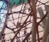 Продать Квартиры вторичка Бакинская улица, 29   