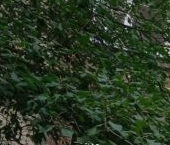 Продать Квартиры вторичка Люберцы, улица Воинов-интернационалистов, 21   