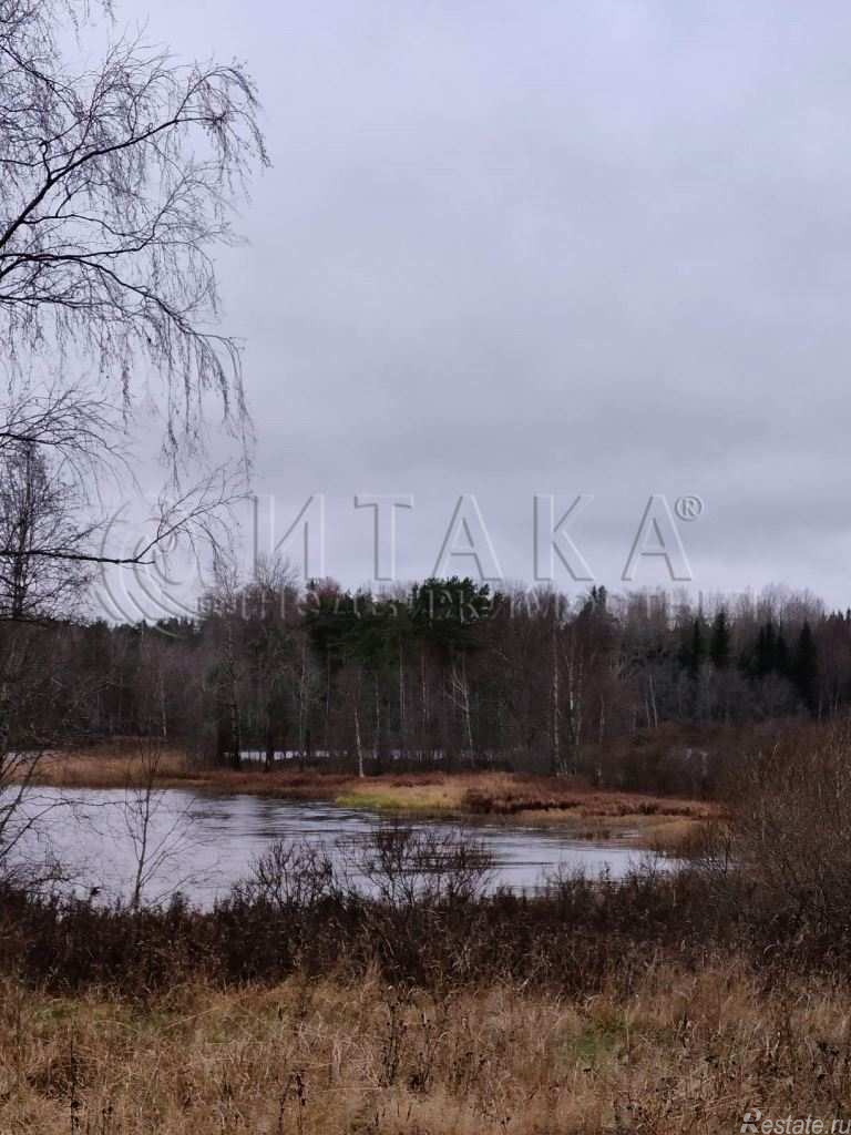 Продажа земли Богатыри, Богатыри п.