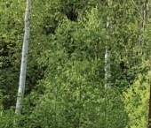 Продать Дачи, коттеджи, загородные дома Захожье-2 садоводческий массив, Захожье-3 СНТ   