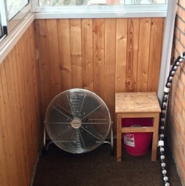 Аренда 1-комн квартиры на вторичном рынке ул Сайкина,  д. 7