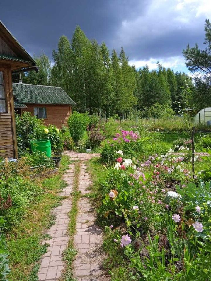 Продажа дома Восточное Радофинниково садоводческий массив, Буревестник СНТ, 11-я линия,  д. 4