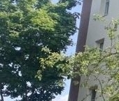 Продать Квартиры вторичка Дубровка пгт, улица Ленинградская, 8   