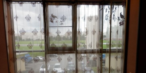 1-комн квартира Каштановая М. аллея ,  д. 9,  к. 1