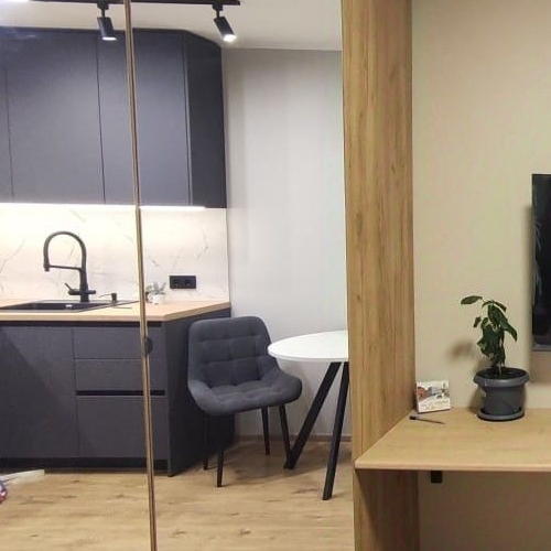 Студия пос. Парголово, проезд Толубеевский, 8к2