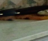 Сдать в аренду Квартиры вторичка улица Панферова, 20   