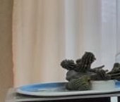 Продать Квартиры вторичка Одинцово, улица Маршала Бирюзова, 28   