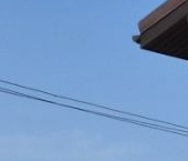 Продать Дачи, коттеджи, загородные дома Касимово массив, улица Ольгинская, 8   