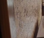 Сдать в аренду Квартиры вторичка Артековская улица, 3К2   