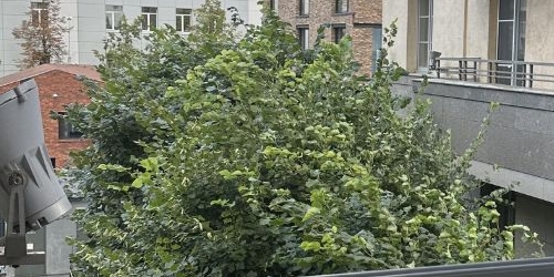 2-комн квартира проспект Средний Васильевского острова, 85