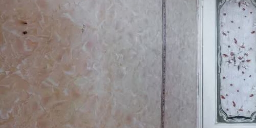 1-комн квартира проспект Маршала Жукова, 37К3