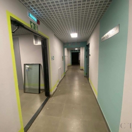 Аренда студии Муринская Дорога улица, д.31к3