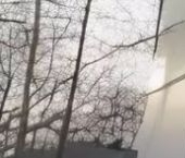 Продать Комнаты в квартирах Коммунар, Пионерская улица, 11   