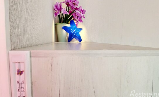 Аренда 1-комн квартиры на вторичном рынке Альпийский переулок,  д. 45