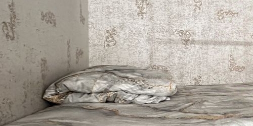 Студия Загородный проспект, 24