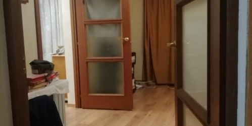 2-комн квартира Лисий Нос пос., Большой просп.,  д. 19