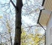 Продать Квартиры вторичка Павловск, улица Васенко, 17   