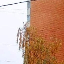 Продажа 3-комн квартиры на вторичном рынке Белореченская улица, 41К2 Продажа 3-комн квартиры на вторичном рынке Белореченская улица, 41К2