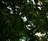 Продать Комнаты в квартирах улица Фрунзе, 10   