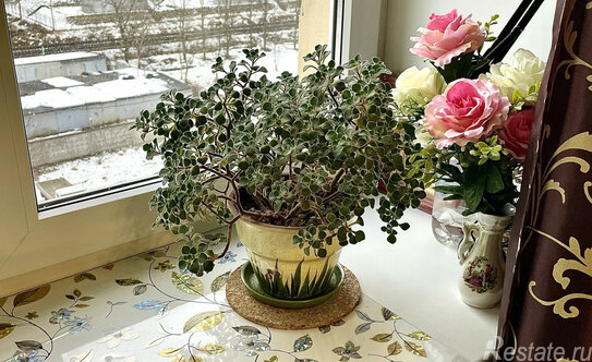 Продажа 2-комн квартиры на вторичном рынке улица Руставели,  д. 37