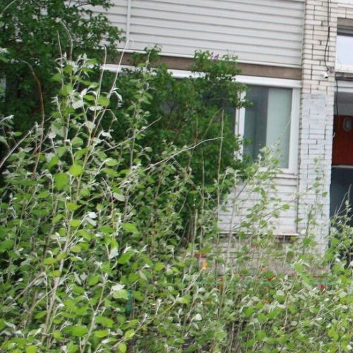 2-комн квартира улица Беринга, 4