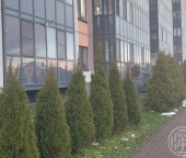 Продать Квартиры вторичка Новоселье пос., Стрельнинская ул.   6 