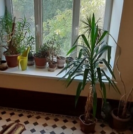 Продажа 2-комн квартиры на вторичном рынке Посадская Б. ул,  д. 16