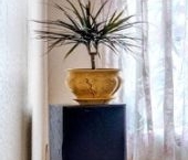 Продать Квартиры вторичка Никитский бульвар, 12   