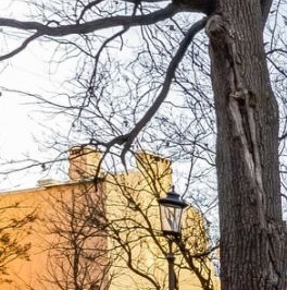 Аренда 4-комн квартиры на вторичном рынке Каменноостровский проспект, 56к2 Аренда 4-комн квартиры на вторичном рынке Каменноостровский проспект, 56к2