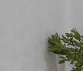 Сдать в аренду Квартиры вторичка улица Пудовкина, 17   