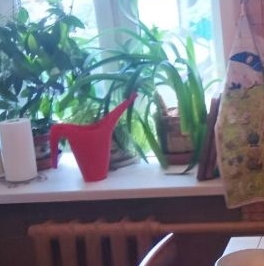 Аренда 2-комн квартиры на вторичном рынке улица Чаянова, д. 12 Аренда 2-комн квартиры на вторичном рынке улица Чаянова, д. 12