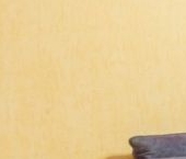 Сдать в аренду Квартиры вторичка Васильевская улица, 4   