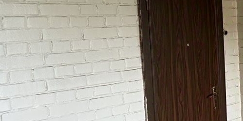 1-комн квартира Пушкин, бульвар Алексея Толстого, 6/66