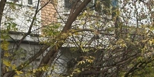 3-комн квартира Смольная улица, 51к1